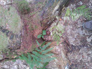 20150615_160439